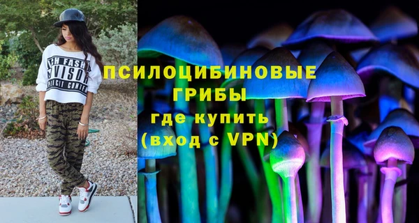амф Медвежьегорск