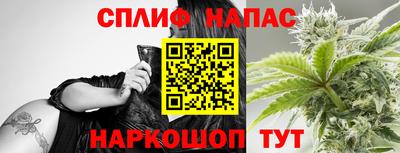 Альфа ПВП Можга