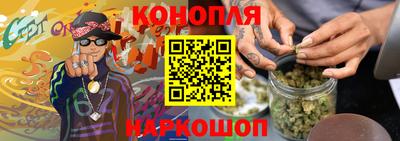 Альфа ПВП Можга