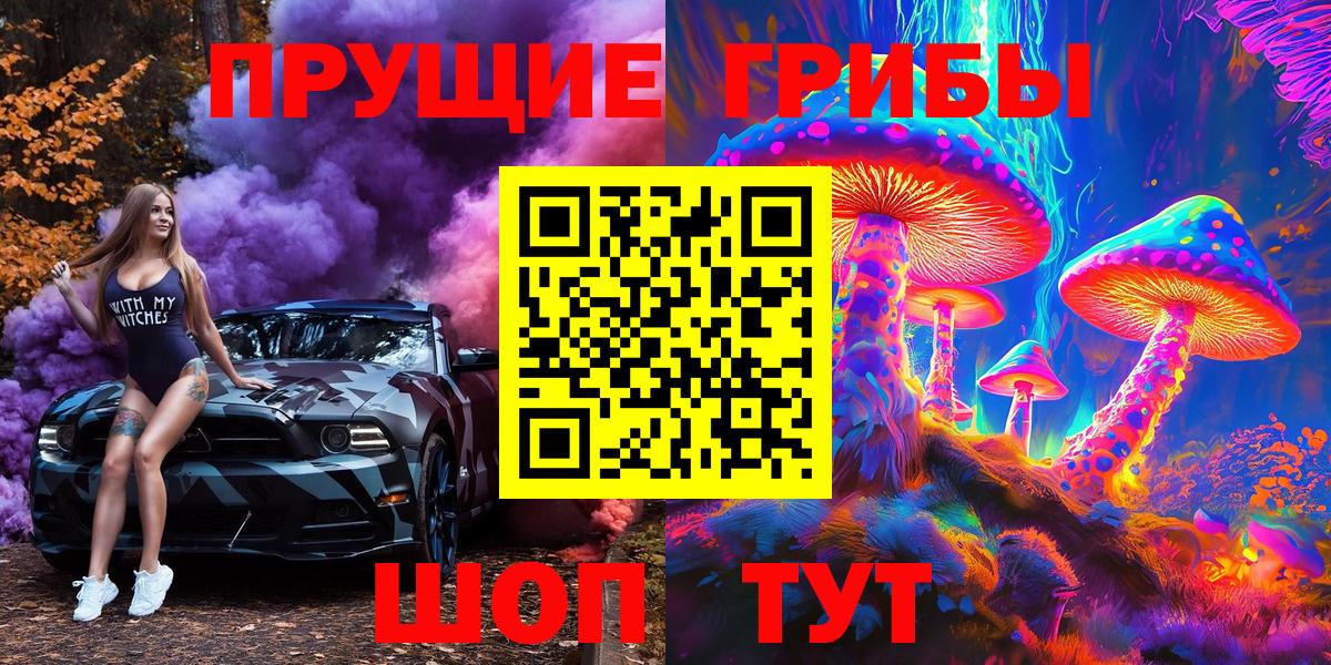 Псилоцибиновые грибы Cubensis  Шарыпово 