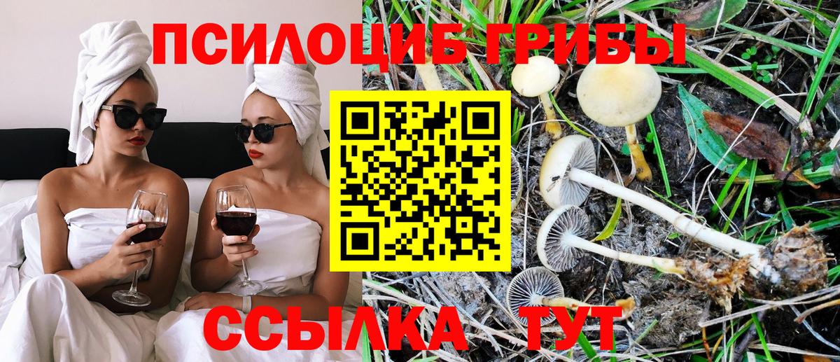 Псилоцибиновые грибы GOLDEN TEACHER Шарыпово